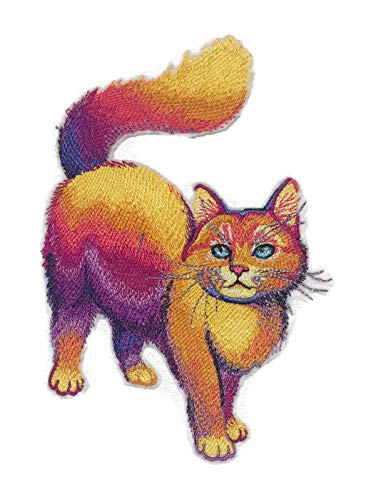 Cat Portraits