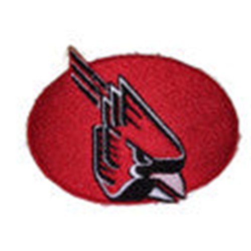Sports patch