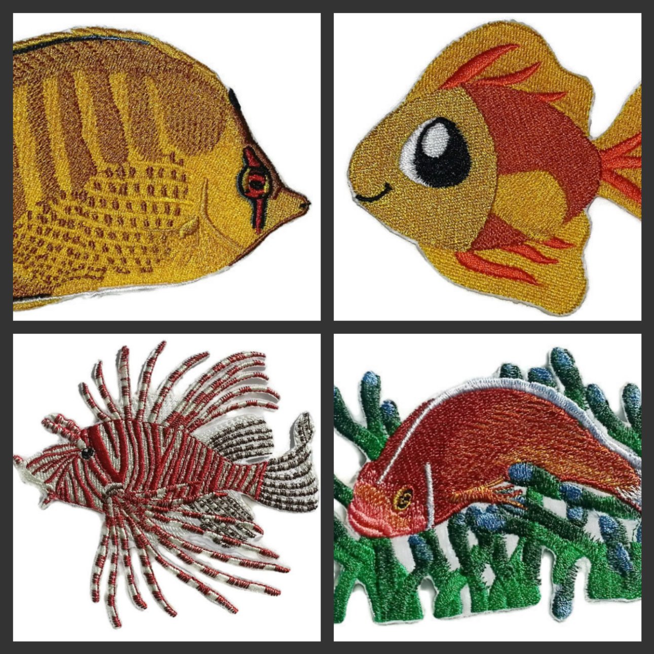 Nature's Bounty Beautiful Custom Fish Portraits [ Spot Banded Butterflyfish ] Embroidered Iron On/Sew Patch (5" x 3") Made in USA]