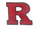 Rutgers Scarlet Knights