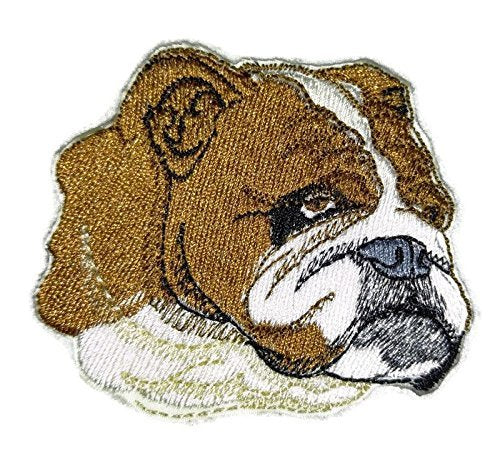 Amazing [Bulldog Dog Face] Embroidery Iron On/Sew Patch (3" x 3")[Made in USA]