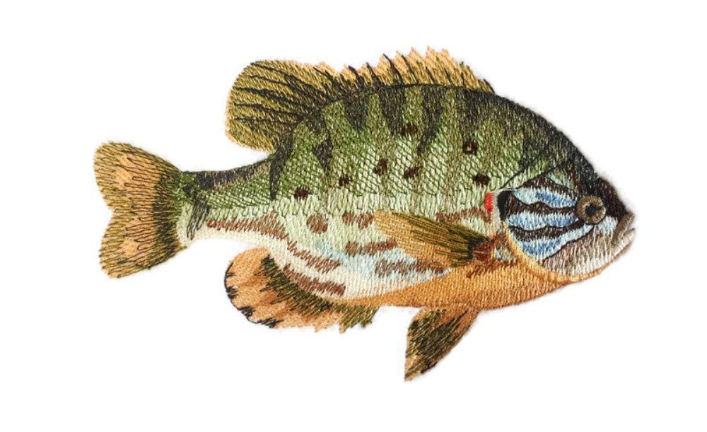 Nature's Magic Beautiful Custom Fish Portraits [ Pumpkinseed] Embroidered Iron On/Sew Patch (6.36" x 4.85") Made in USA