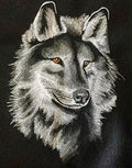 Majestic Wolf (6.9" x 9.52") embroidered iron-on patch
