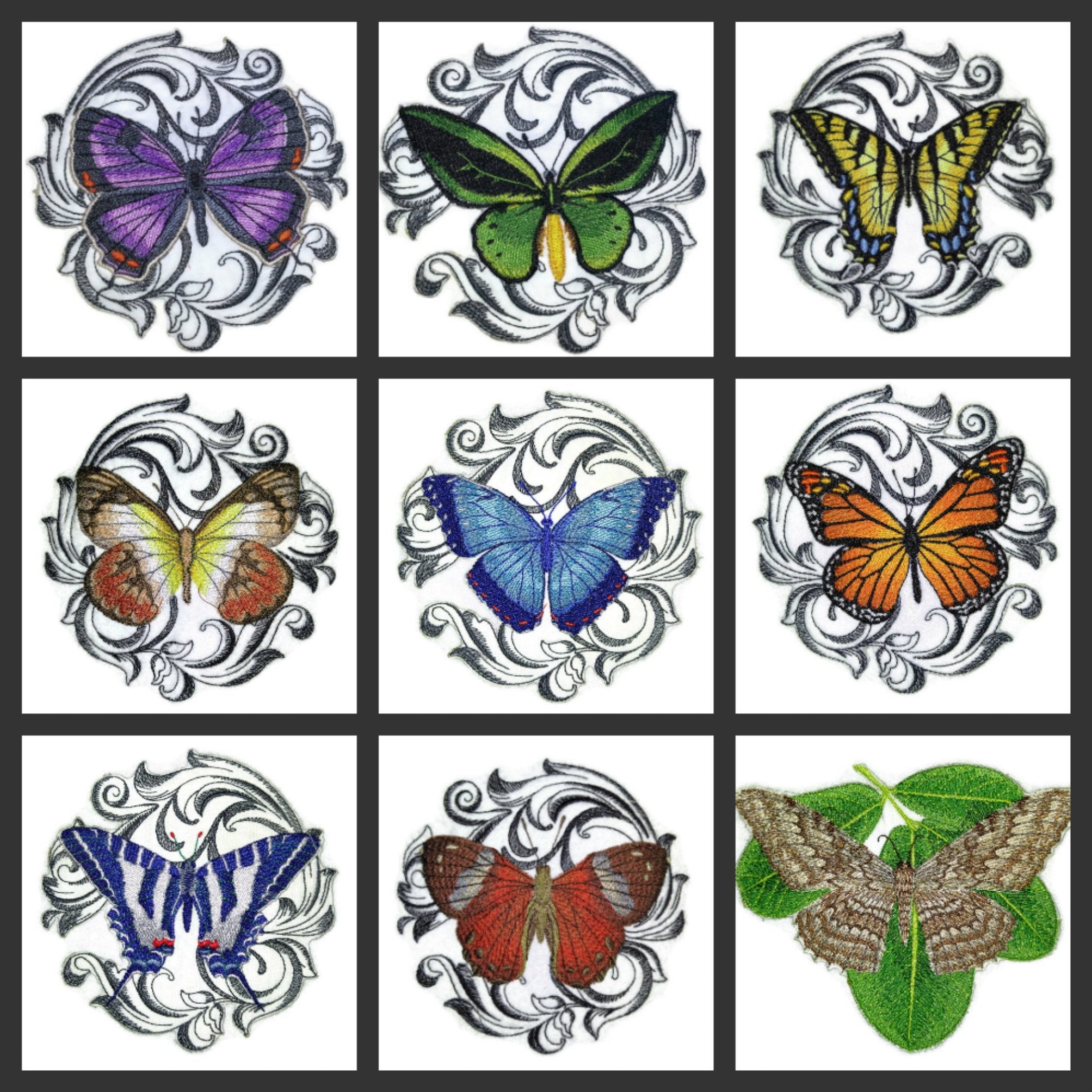 Parche bordado para planchar o coser con diseño de mariposas coloridas de BeyondVision, único y personalizado [Colorado Hairstreak con barroco] [5" x 5"], fabricado en EE. UU.