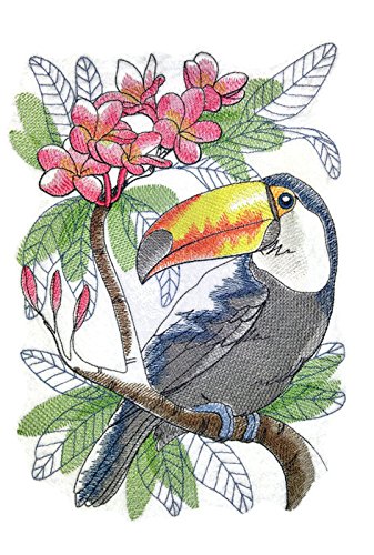 Nature Weaved in Threads, Amazing Birds Kingdom [ Tropical Toucan Sketch ] [Custom and Unique] Embroidered Iron on/Sew Patch (9.59" x 6.9") [Made in USA]
