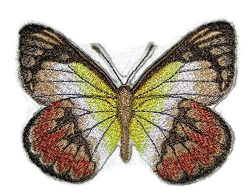 Custom and Unique Amazing Colorful Butterflies [Scarlet Jezebel ] Embroidered Iron On/Sew Patch (3.72" x 2.89") Made in USA]