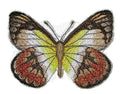 Scarlet Jezebel Butterfly (3.72" x 2.89") embroidered iron-on patch