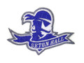 Seton Hall Pirate