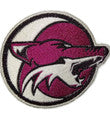 Phoenix Coyotes