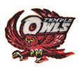 Temple Owls