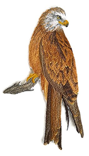 Nature Weaved in Threads, Amazing Birds Kingdom [Red Kite Perching [Custom and Unique] Embroidered Iron on/Sew Patch (6.82" x 4.89") [Made in USA]