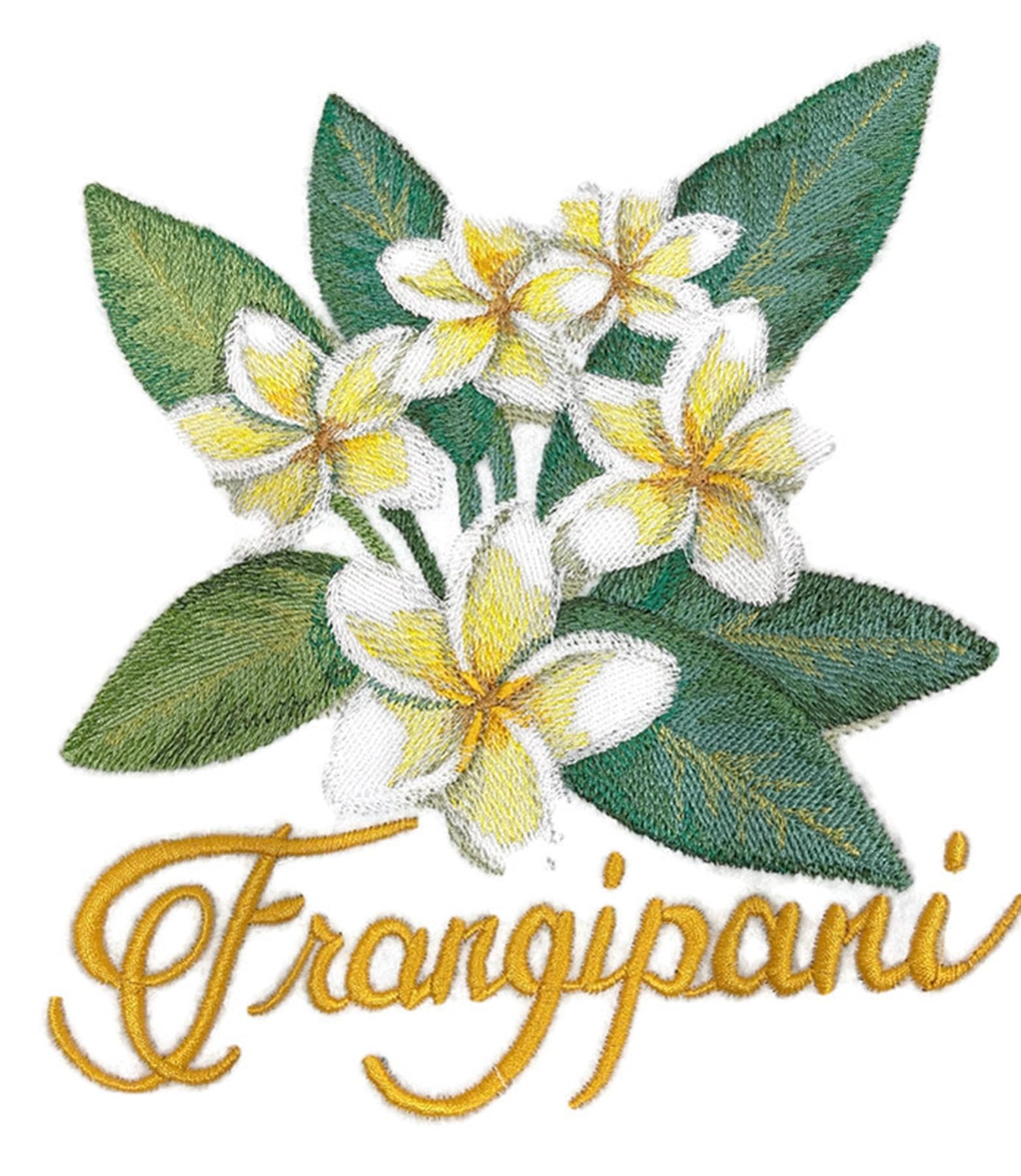 Tropical Flower Frangipani in Watercolor Embroidered Iron on/Sew Patch (6.9" x 7.42")