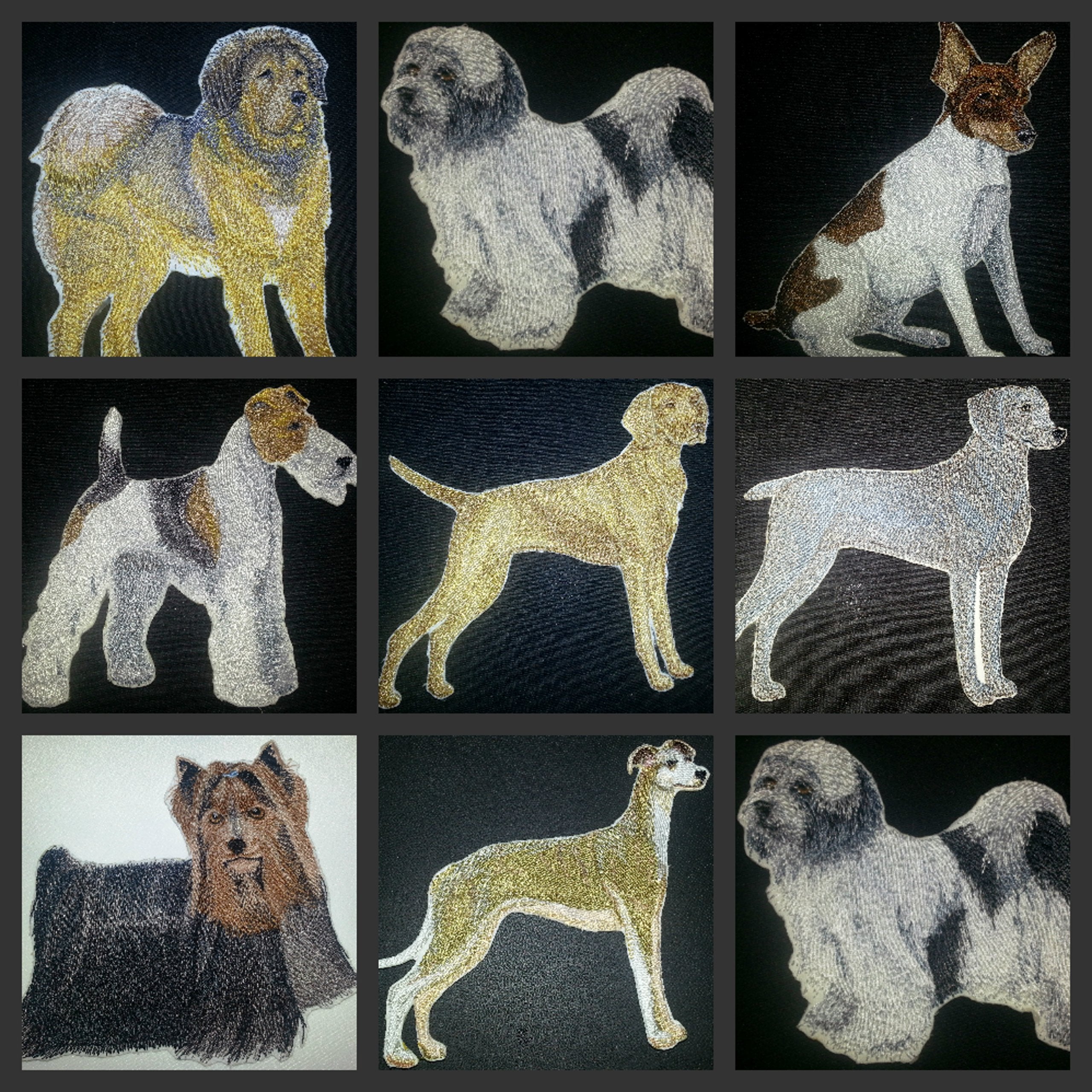 Amazing Custom Dog Portraits [Toy Fox Terrier] Embroidered Iron On/Sew Patch (5.5" x 4.5") Made in USA]