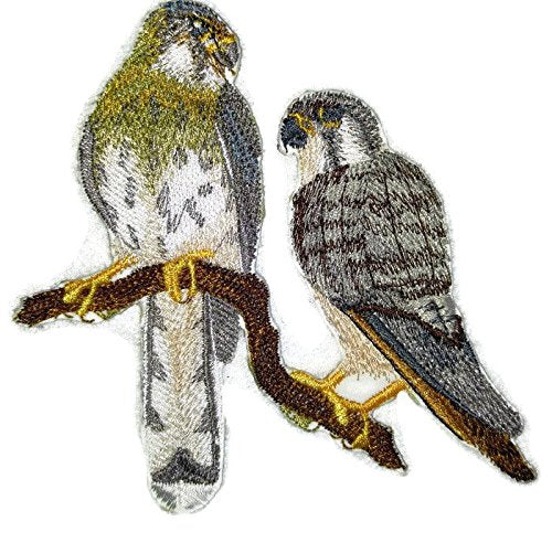 Nature weaved in threads, Amazing Birds Kingdom [American Kestrel Pair] [Custom and Unique] Embroidered Iron on/Sew patch (5" x 5") [Made in USA]