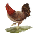 Fashion Rooster (4.37" x 5") embroidered iron-on patch