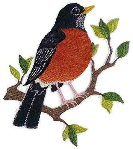 BeyondVision Nature Tejido en Hilos, Reino de las Aves Increíbles [Pájaro Petirrojo] [Personalizado y Único] Parche Bordado para Planchar o Coser [4.85" x 4.9"] [Hecho en EE. UU.]