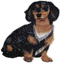 Longhaired Dachshund (6" x 5") embroidered iron-on patch