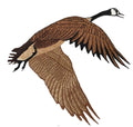 Flying Canada Goose â Applique for Jackets, Backpacks, DIY Crafts â (7.74" x 7.64") for Clothing & Accessories embroidered iron-on patch