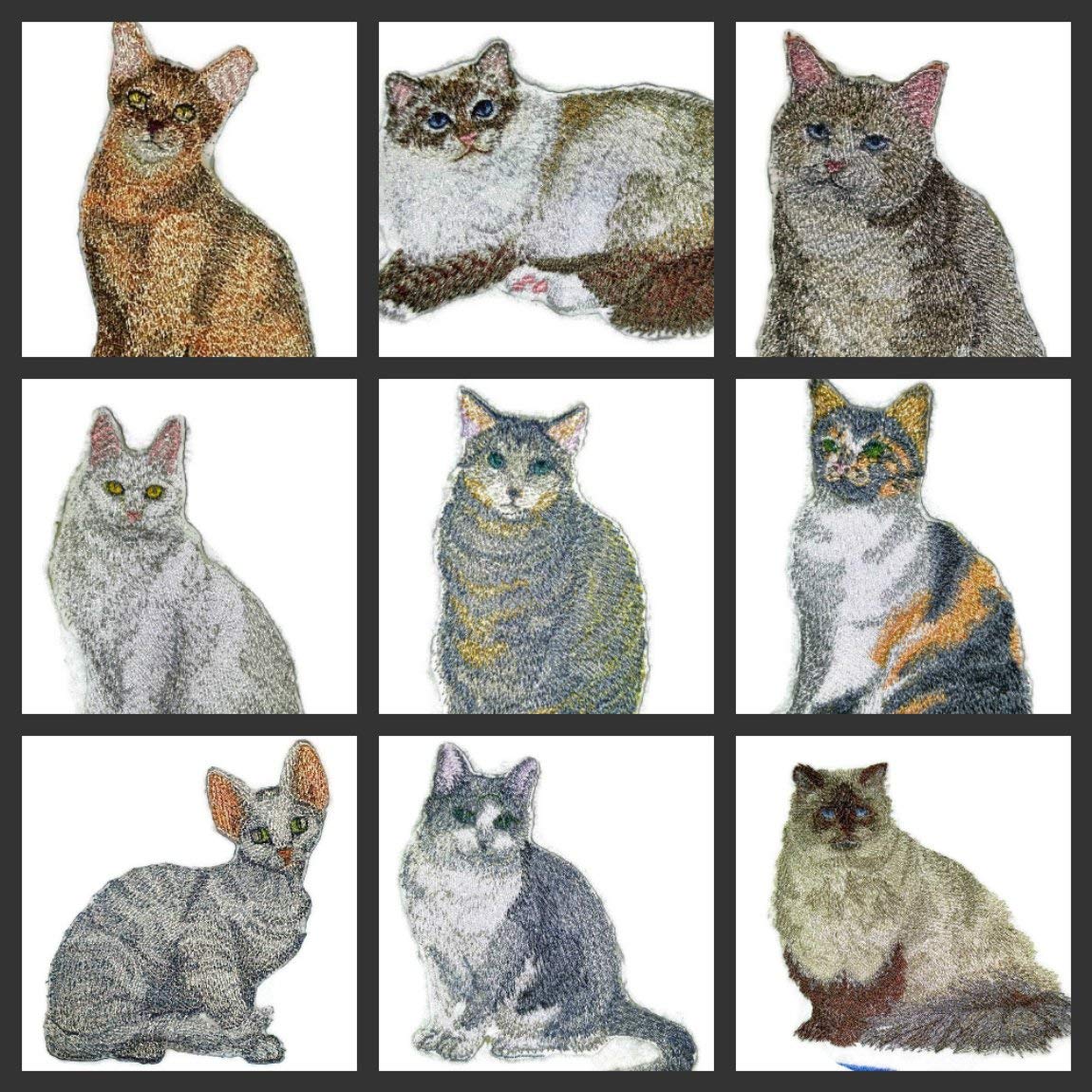 Impresionantes retratos de gatos personalizados [Gato del Himalaya] Parche bordado para planchar o coser [11,4 cm x 10 cm] Hecho en EE. UU.