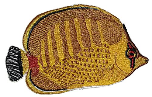 Nature's Bounty Beautiful Custom Fish Portraits [ Spot Banded Butterflyfish ] Embroidered Iron On/Sew Patch (5" x 3") Made in USA]