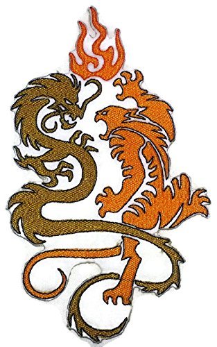 Decorative design of a dragon and phoenix in orange and brown on a white background