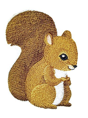 Naturaleza entretejida en hilos, increíble cría de animal [Ardilla] [Personalizado y único] Parche bordado para planchar o coser [4,3" x 3,24"] [Hecho en EE. UU.]