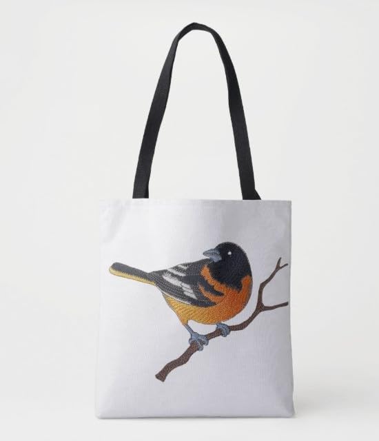 Parche bordado personalizado Beyond Vision de Oriole para planchar o coser (9,99 x 15,96 cm)
