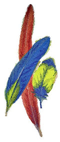 Scarlet Macaw Feathers in Watercolor (11.24" x 4.52") embroidered iron-on patch