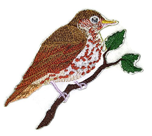 Nature Weaved in Threads, Amazing Birds Kingdom [Single Wood Thrush Bird ] [Custom and Unique] Embroidered Iron on/Sew Patch (5" x 5") [Made in USA]