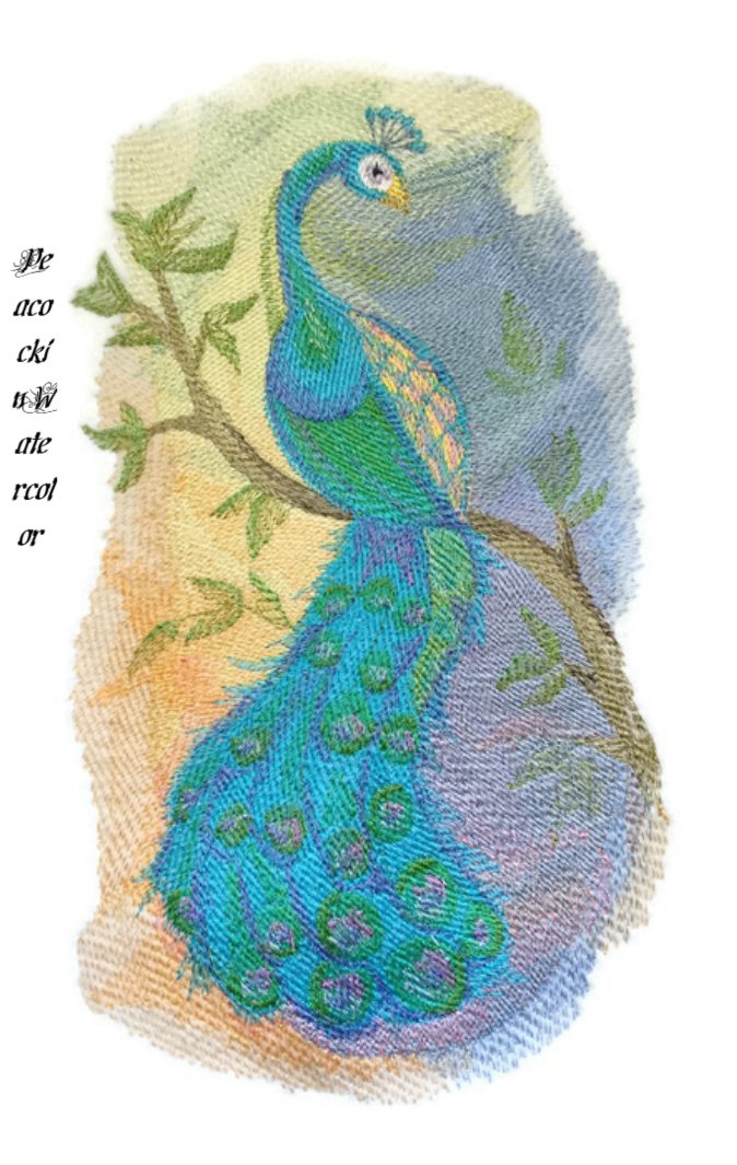 Nature Weaved in Threads, Amazing Birds Kingdom [Peacock in Watercolor] [Custom and Unique] Embroidered Iron on/Sew Patch [9.42" x "5.85"] [Made in USA]
