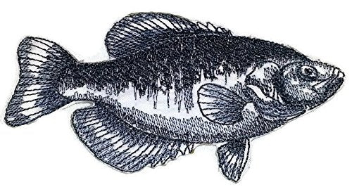 Nature's Bounty Beautiful Custom Fish Sketch [Black Crappie Fish ] Embroidered Iron On/Sew patch (5" x 3") Made in USA]