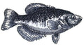 Black Crappie Fish (5" x 3") embroidered iron-on patch