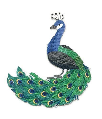 BeyondVision Nature Tejido en Hilos, Reino de las Aves Increíbles [Pavo Real] [Personalizado y Único] Parche Bordado para Planchar o Coser [6.87" * 8"] [Hecho en EE. UU.]