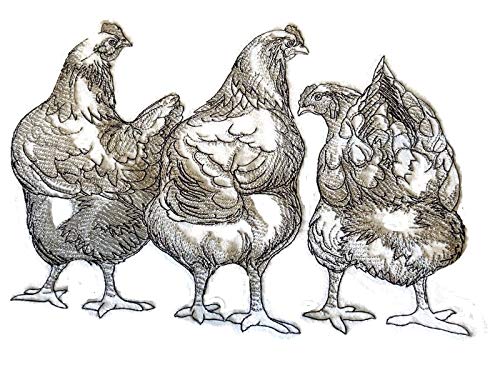 Nature Weaved in Threads, Amazing Rooster [3 Chicken Butts] [Custom and Unique] Embroidered Iron on/Sew Patch (9.16" x 6.85") [Made in USA
