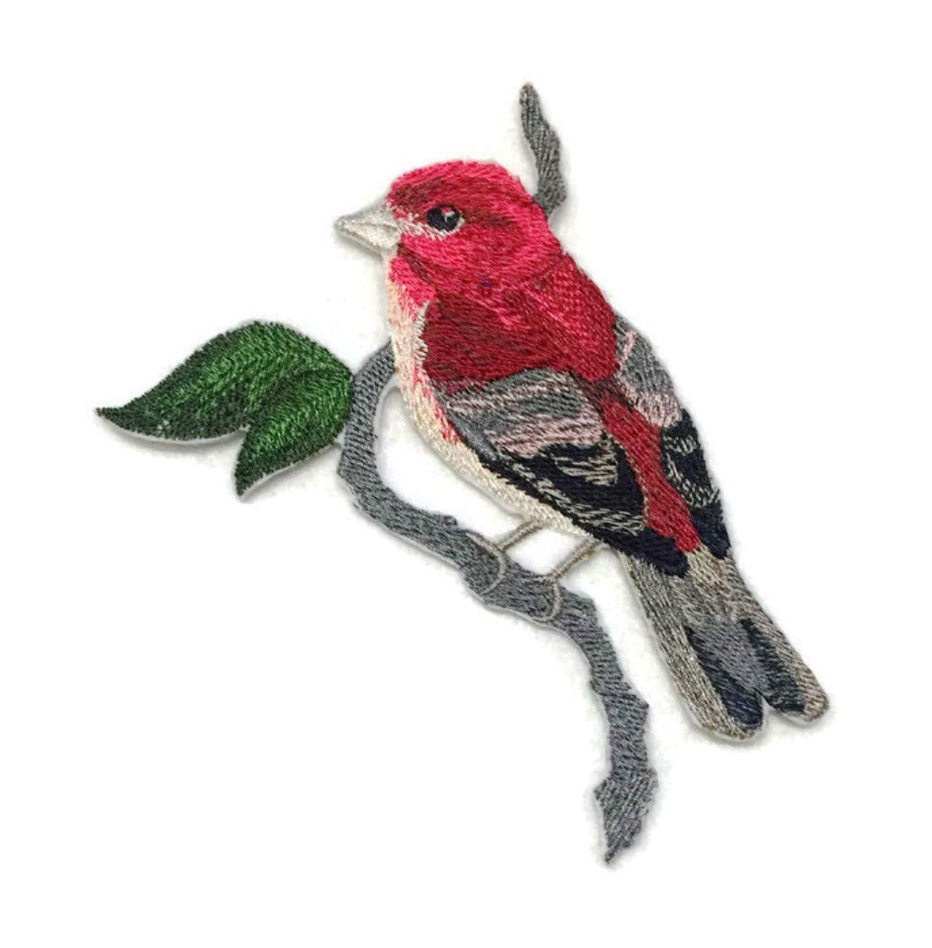 Naturaleza entretejida en hilos, increíble Reino de las Aves Solitarias [Pinzón Morado de New Hampshire] [Personalizado y único] Parche bordado para planchar o coser [4.8" x 5"] [Hecho en EE. UU.]