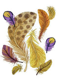 Fancy Feather Collection [Fancy Feathers Collage] / (7.81" x 9.94") embroidered iron-on patch