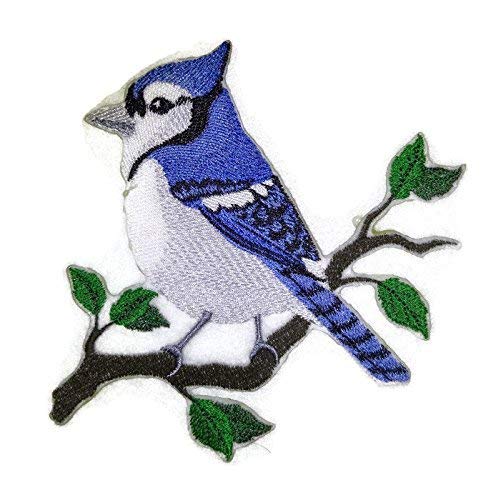 Nature Weaved in Threads, Amazing Birds Kingdom [Single Blue Jay Bird ] [Custom and Unique] Embroidered Iron on/Sew Patch (5" x 4.5") [Made in USA]