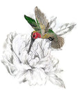 Secret Garden Peony and Hummingbird (7.62" x 6.88") embroidered iron-on patch
