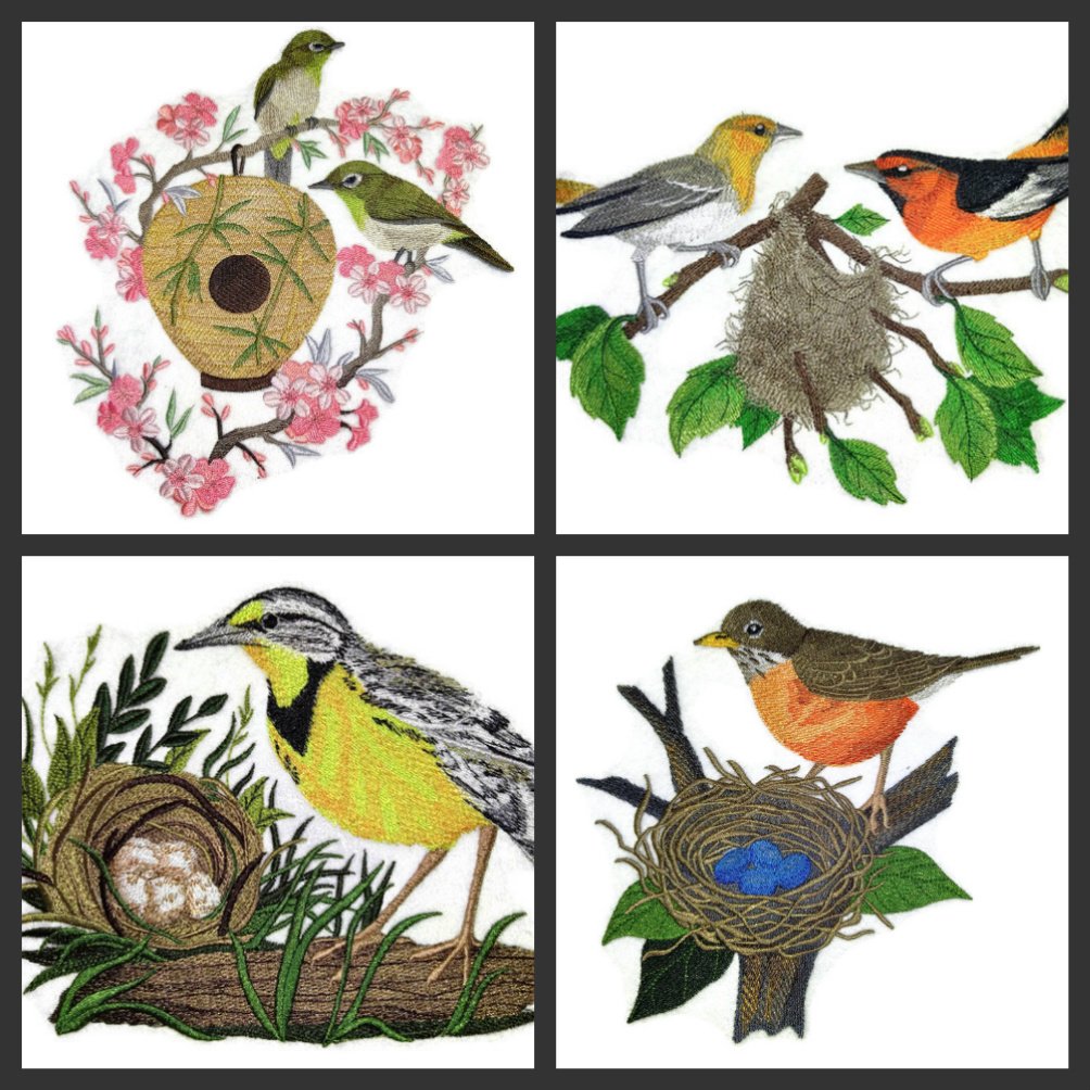 Naturaleza entretejida en hilos, increíble nido de aves del reino, ojiblanco japonés y pajarera] [Personalizado y único] Parche bordado para planchar o coser [9,29" 8,57"] [Hecho en EE. UU.]