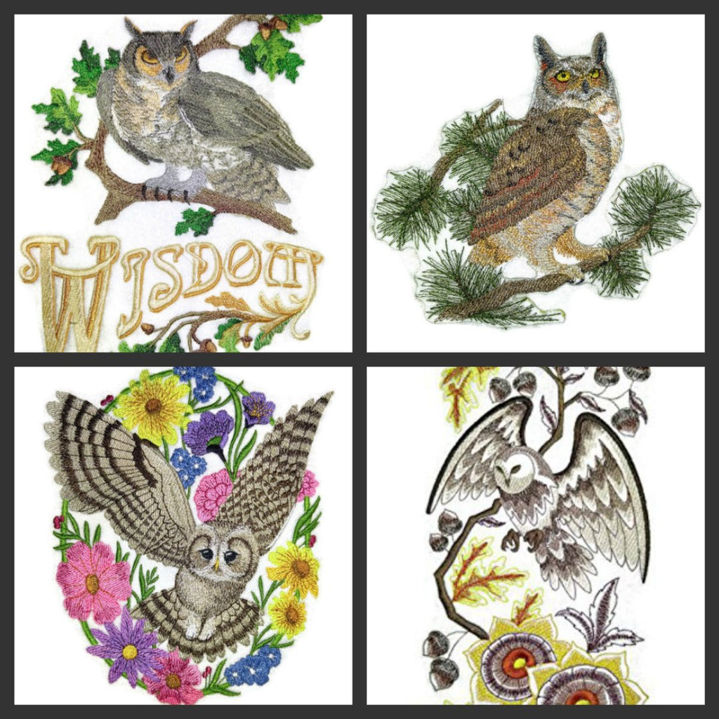 Nature Weaved in Threads, Amazing Birds [Woodland Whimsy Owl Oval [Custom and Unique] Embroidered Iron on/Sew Patch (7.12" x 5.85") [Made in USA]