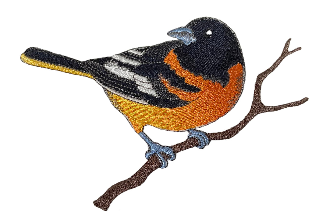 Parche bordado personalizado Beyond Vision de Oriole para planchar o coser (9,99 x 15,96 cm)