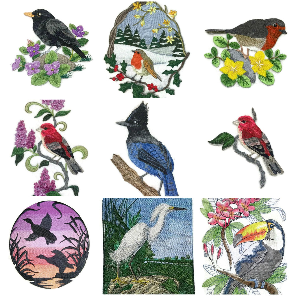 Naturaleza entretejida en hilos, Reino de las aves asombrosas [Loro rey australiano con flores] [Personalizado y único] Parche bordado para planchar o coser [6,26" x 5,9"] [Hecho en EE. UU.]