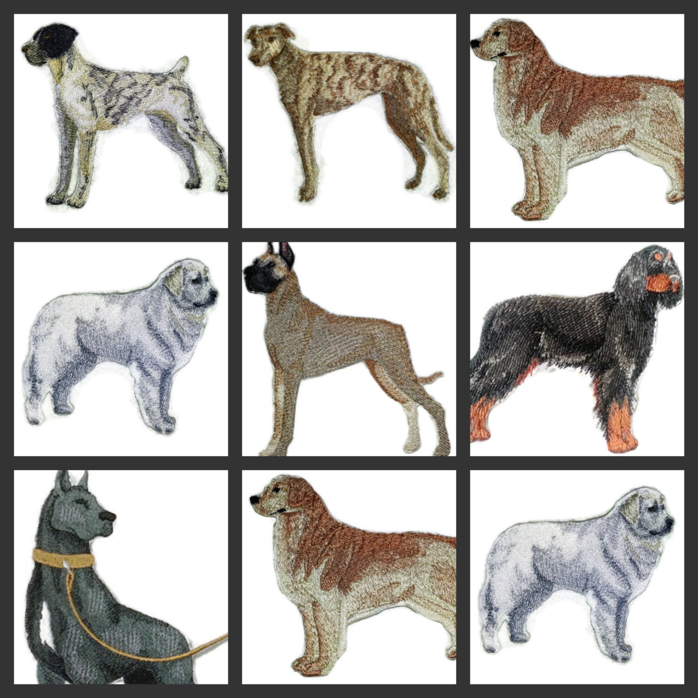 Amazing Custom Dog Portraits [ German Shorthaired ] Custom and Unique] Embroidered Iron on/Sew Patch (5" x 4") [Made in USA]