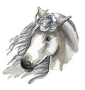 Horse Face [Elusive Stallion ] / (6.82" x 7.65") embroidered iron-on patch