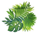 Watercolor Tropical Leaves [Watercolor Tropical Leaves] / (6.84" x 8.16") [] embroidered iron-on patch