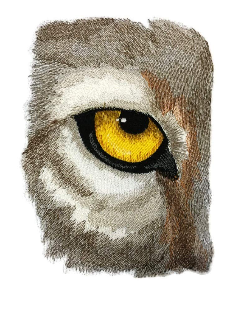 Close-up of an owl's eye with detailed feathers on a white background