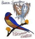 Barn Swallow And Sketch (7.15" x 5.85") embroidered iron-on patch