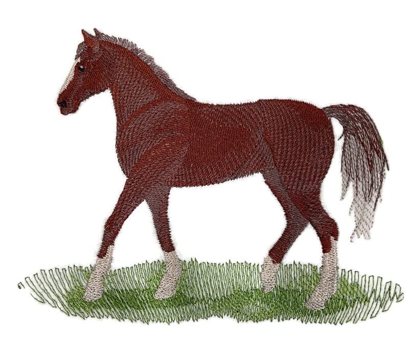 Beyond Vision Custom Horse [ Morgan Horse ] Embroidered Iron on/Sew Patch (6.48" x 5.31")