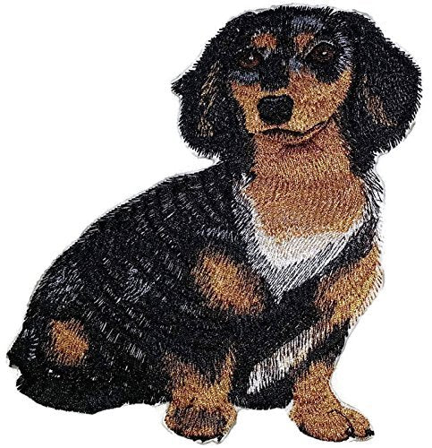 Impresionantes retratos de perros personalizados [Dachshund de pelo largo] Parche bordado para planchar o coser [15 x 13 cm] [Hecho en EE. UU.]