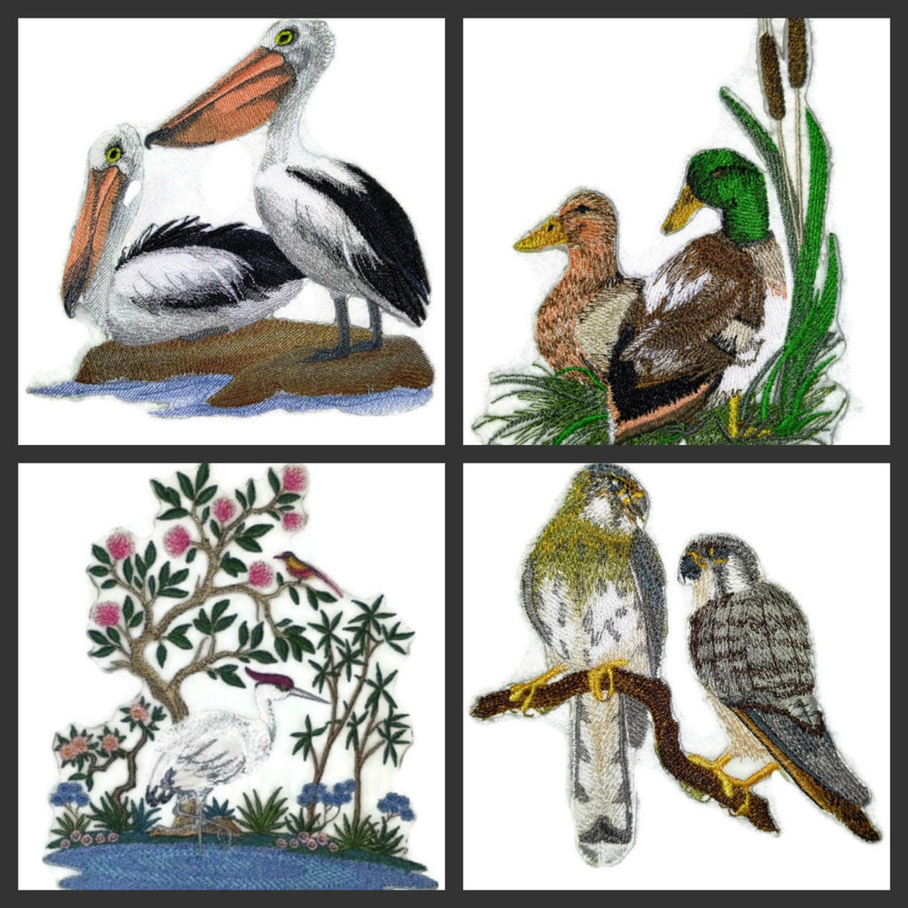 BeyondVision Nature Weaved in Threads, Amazing Birds Kingdom [Brown Pelican ] [Custom and Unique] Embroidered Iron on/Sew Patch (7" x 4.5") [Made in USA]